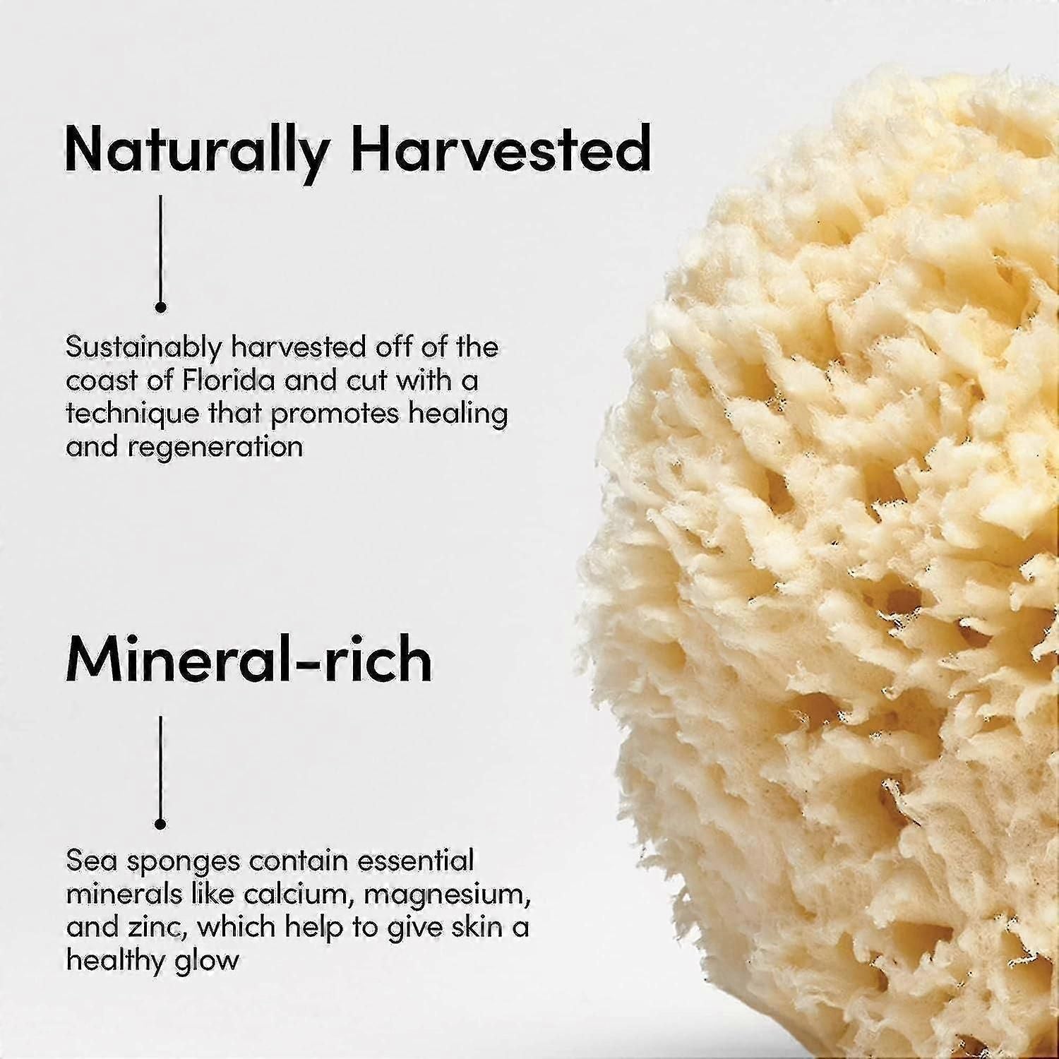 Natural Sea Wool Bath Sponge for Face and Body Cleansing