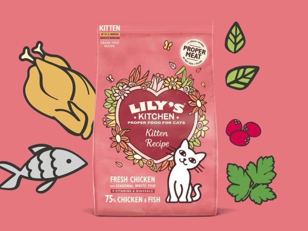 Lily's Kitchen Chicken & White Fish Kitten Dry Food 800gms