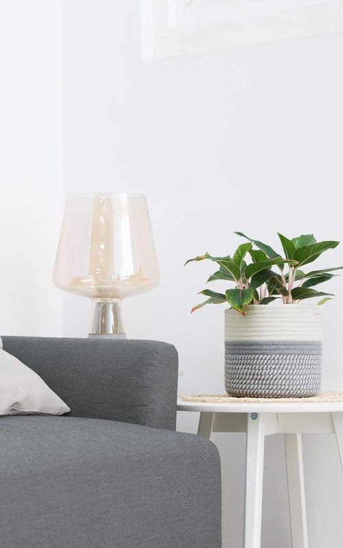 Mini Woven Jute Cotton Rope Plant Storage Basket for Home
