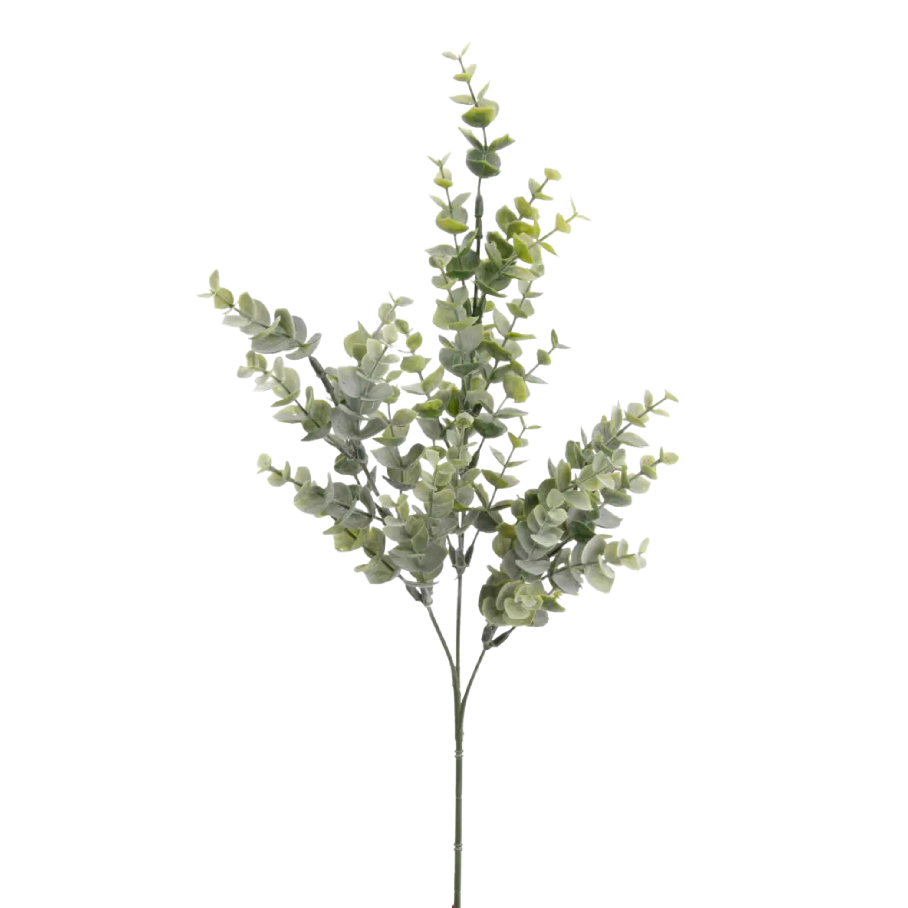 Eucalyptus Bridge Spray