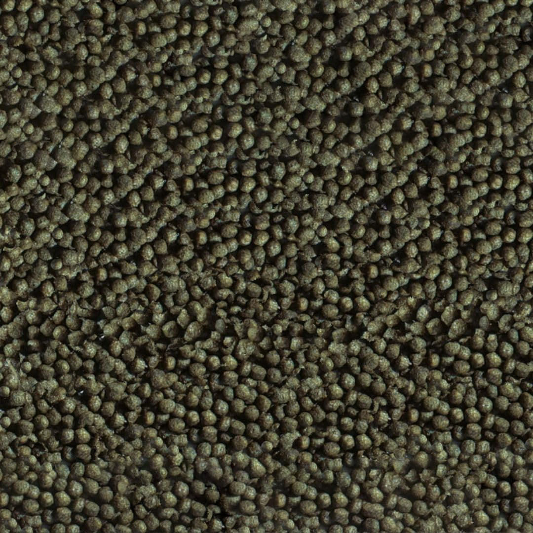 Sera Gold Fish Color Granules 250ml, 90g