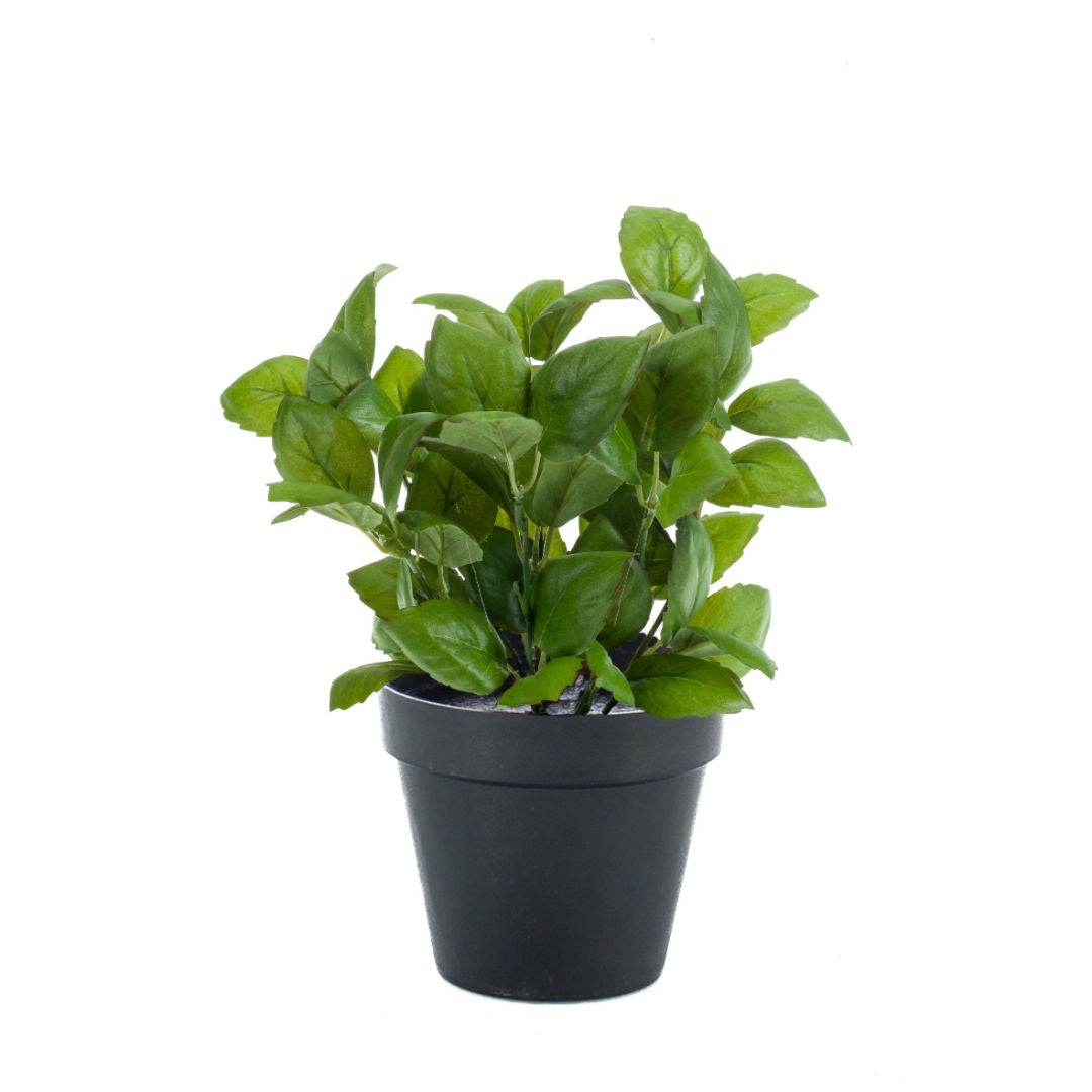 Basil Bush Green Artificial Plant