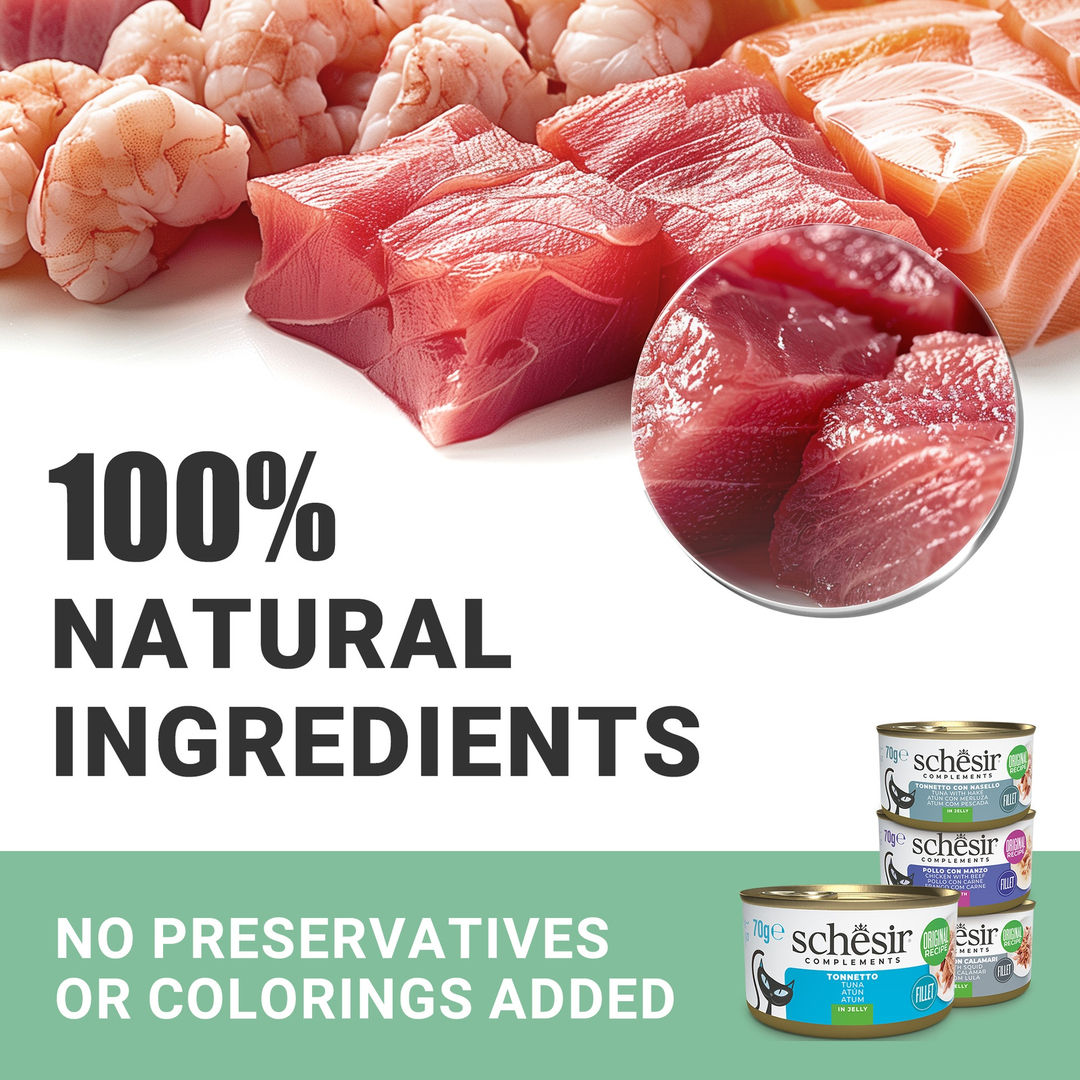 Schesir Complements Cat Wet Food in Broth, Chicken with Beef 70g