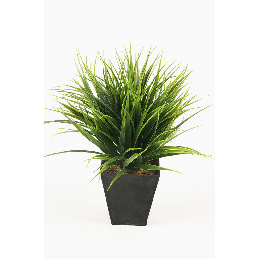 Grass Bush Green