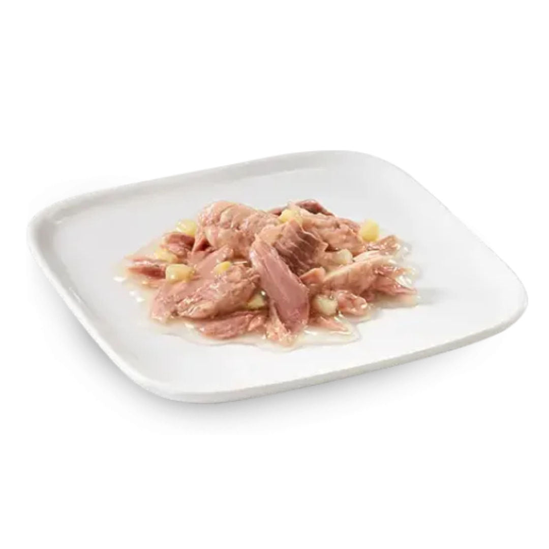 Schesir Wet Food Ocean Fish & Tuna For Dog, 85gm
