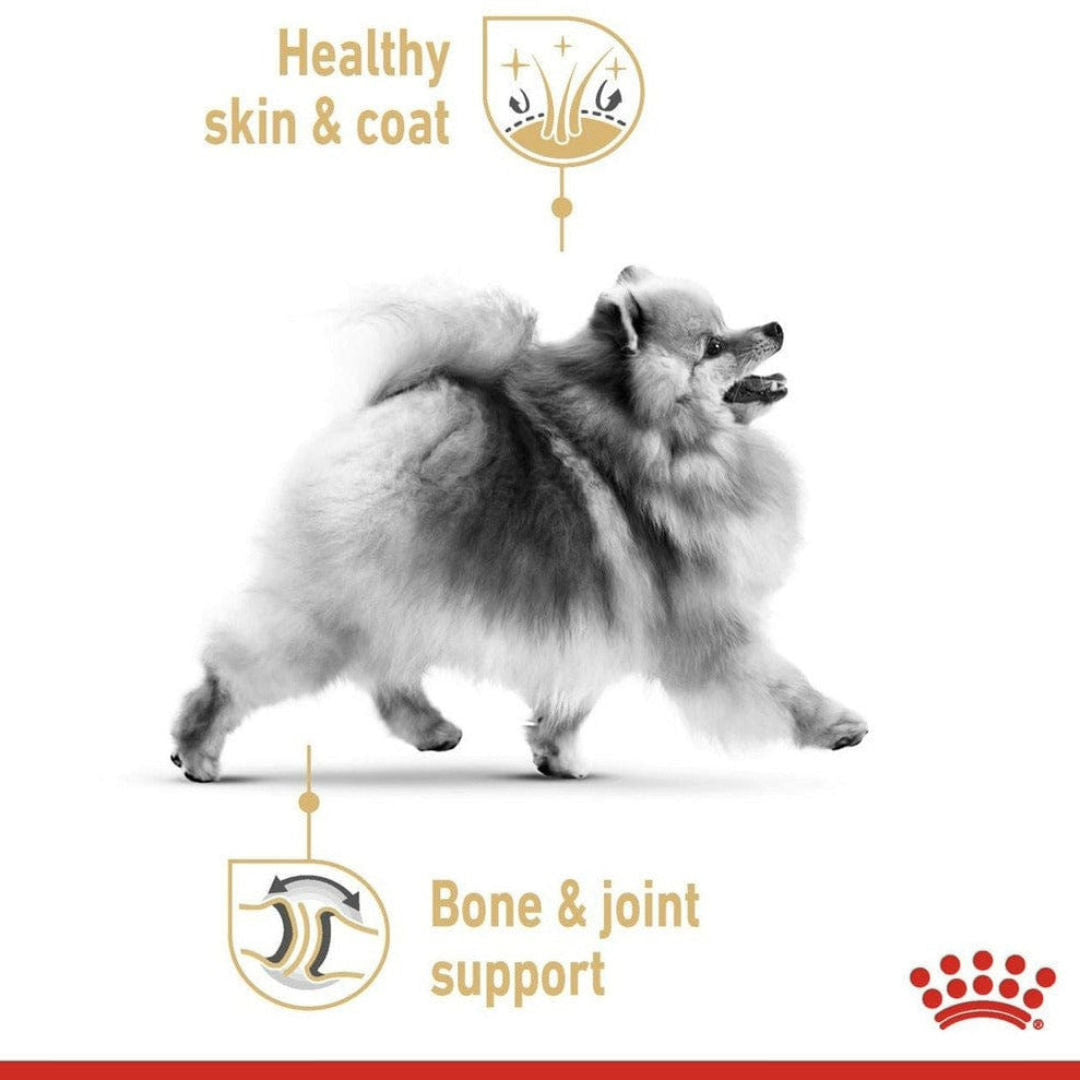 Royal Canin Breed Health Nutrition Pomeranian, Wet Food Pouches, 12x85gm