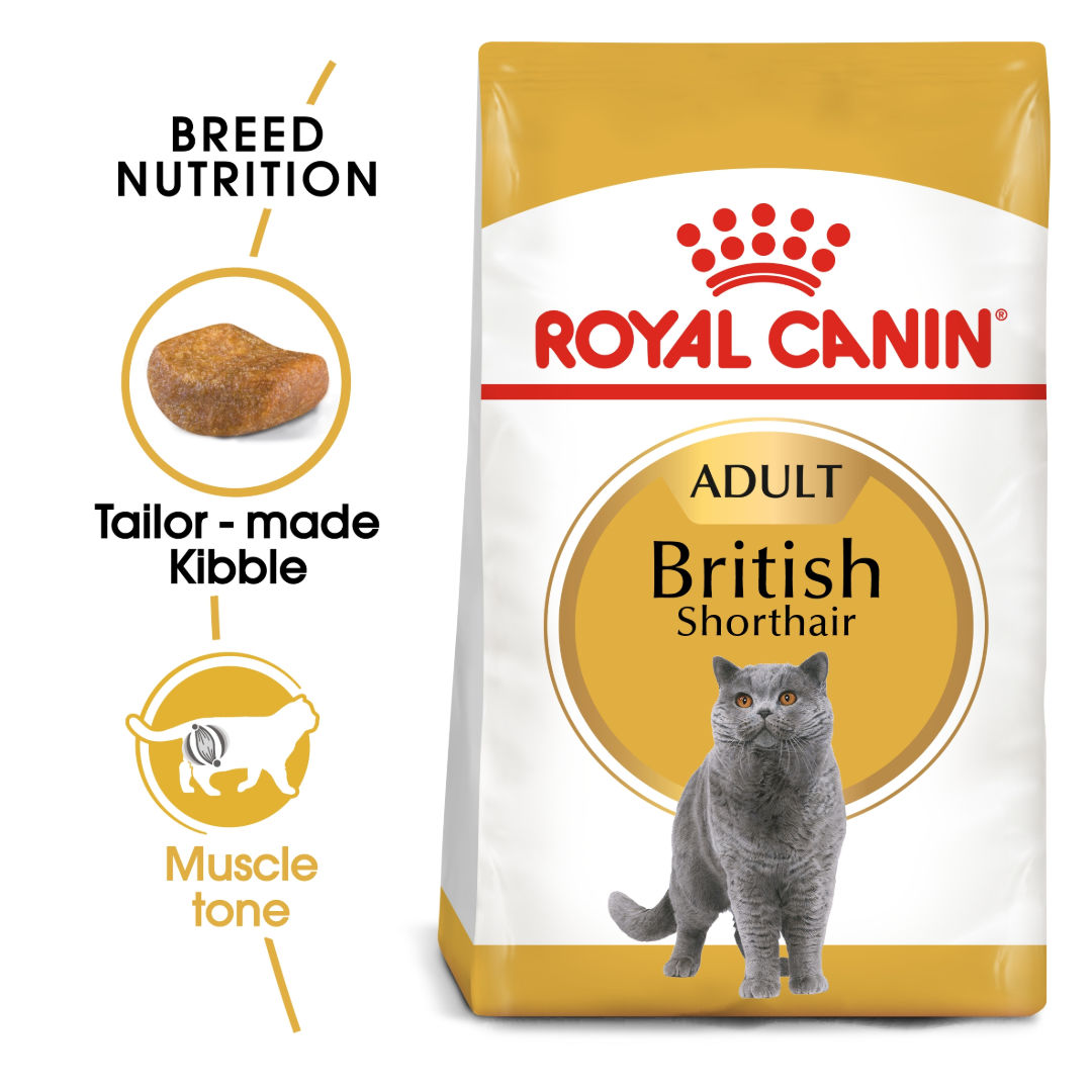 Royal Canin Feline Adult British Shorthair Dry Cat Food, 4kg