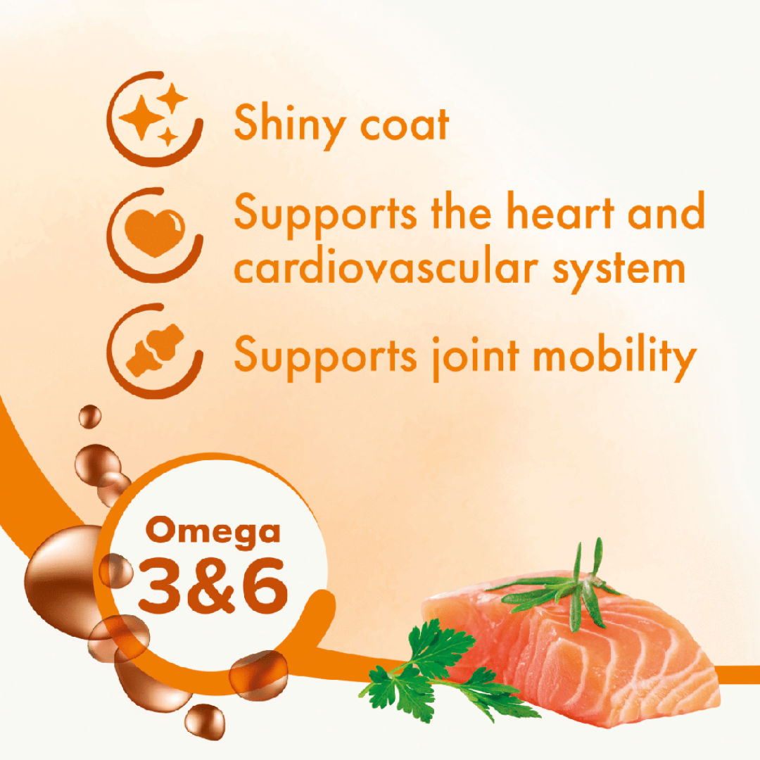 Bioline Norwegian Salmon Oil Energy And Vitality Dog And Cat, 250ml