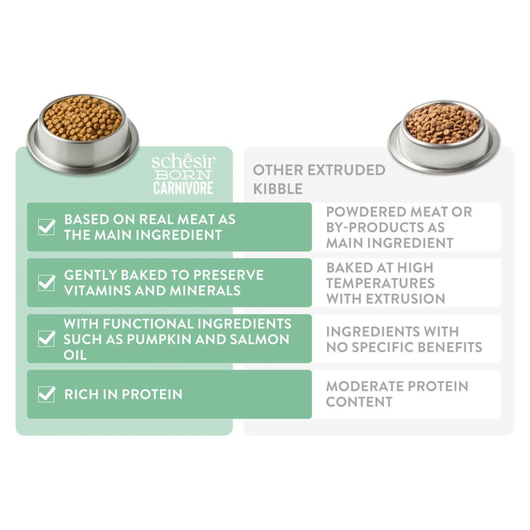 Schesir Born Carnivore Grain Free Oven Baked Dry Food High-Protein For Kitten, Chicken & Egg, 255g