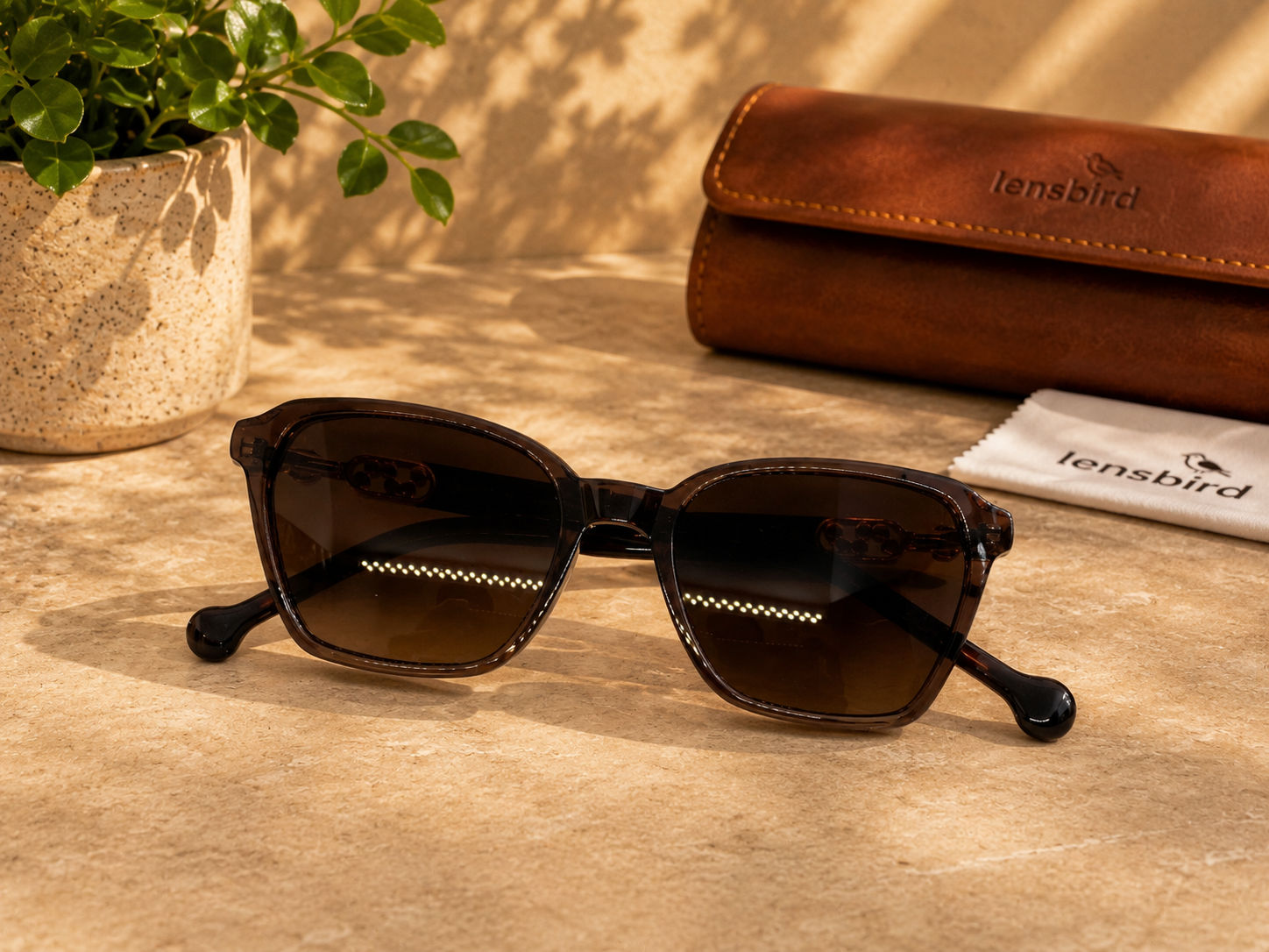 Lensbird Female Sunglass, 17338C3