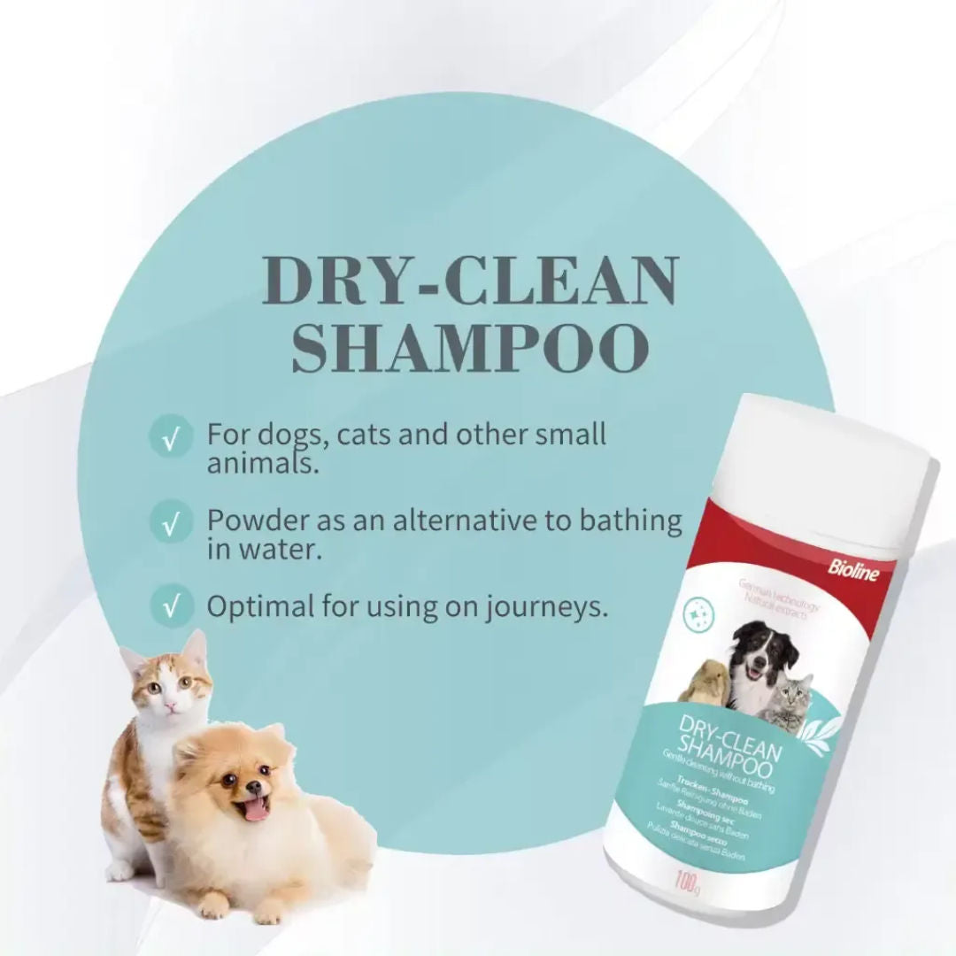 Boline Dry Clean Shampoo, Weight 100gm