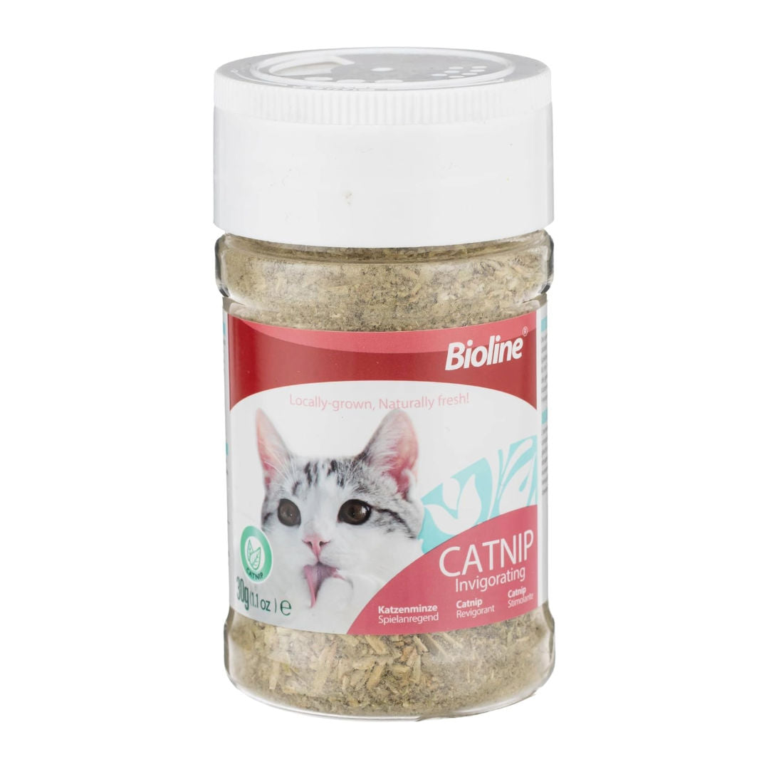 Bioline Catnip Leaves for Cats, 20gm