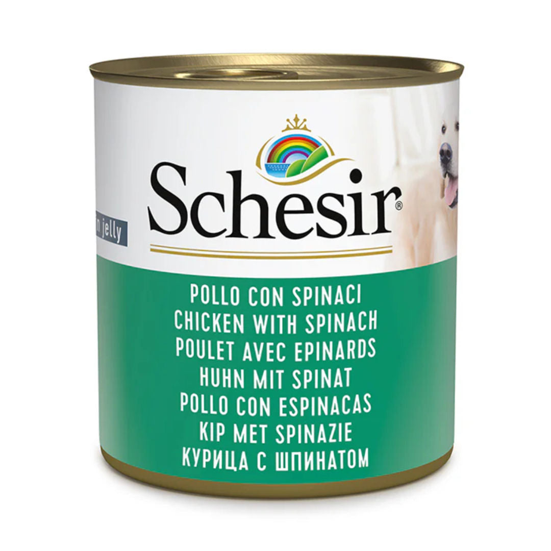 Schesir Dog Wet Food in Jelly Can, 285g