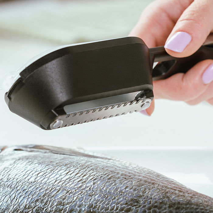 NAVA Acer Fish Scaler With Stainless Steel Blade & Storage Container,  20cm