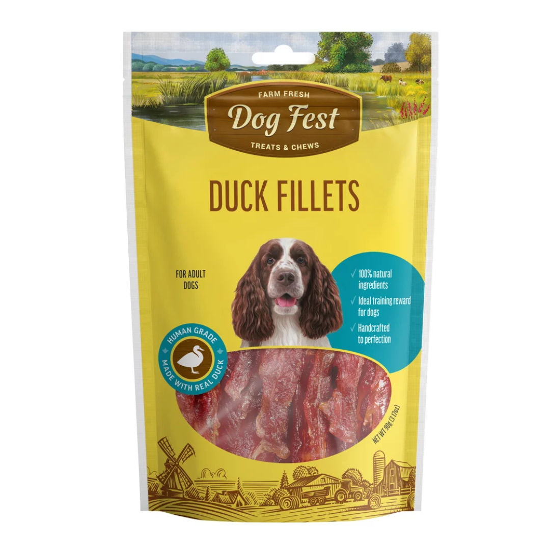 Dog Fest For Adult Dogs, 90gm