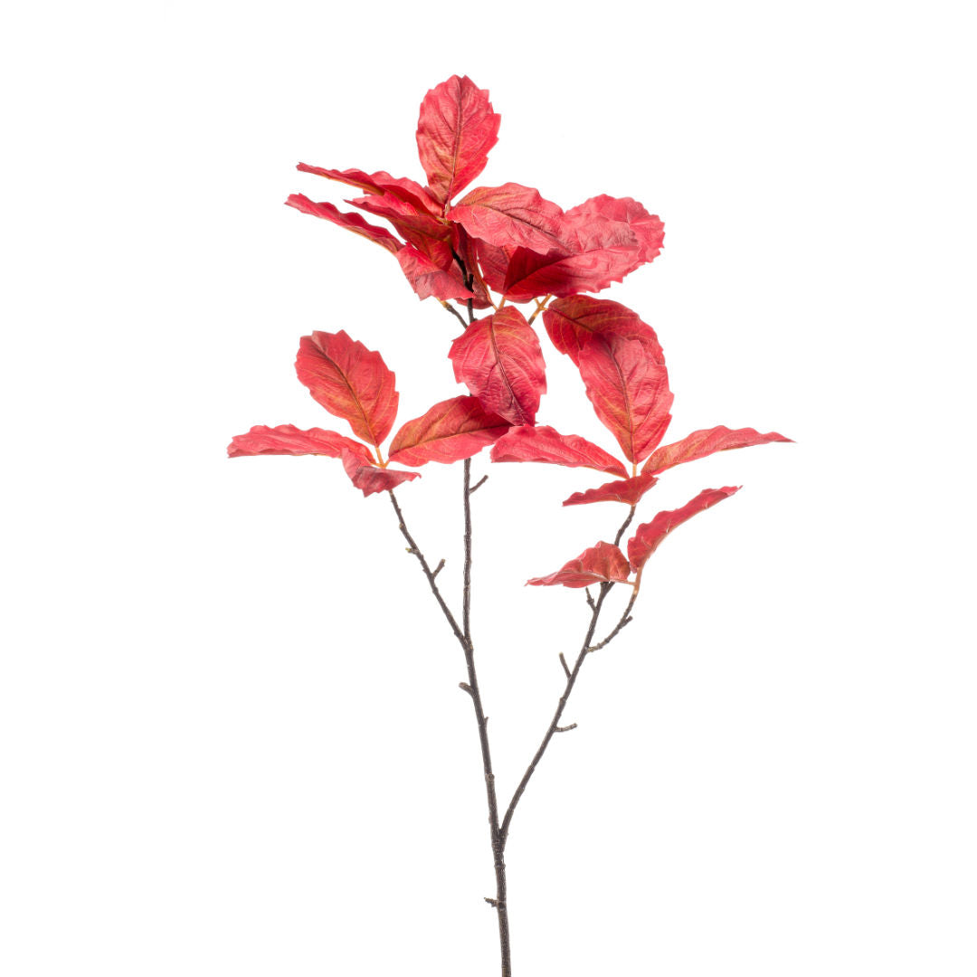 Chestnut Leaf Spray Red