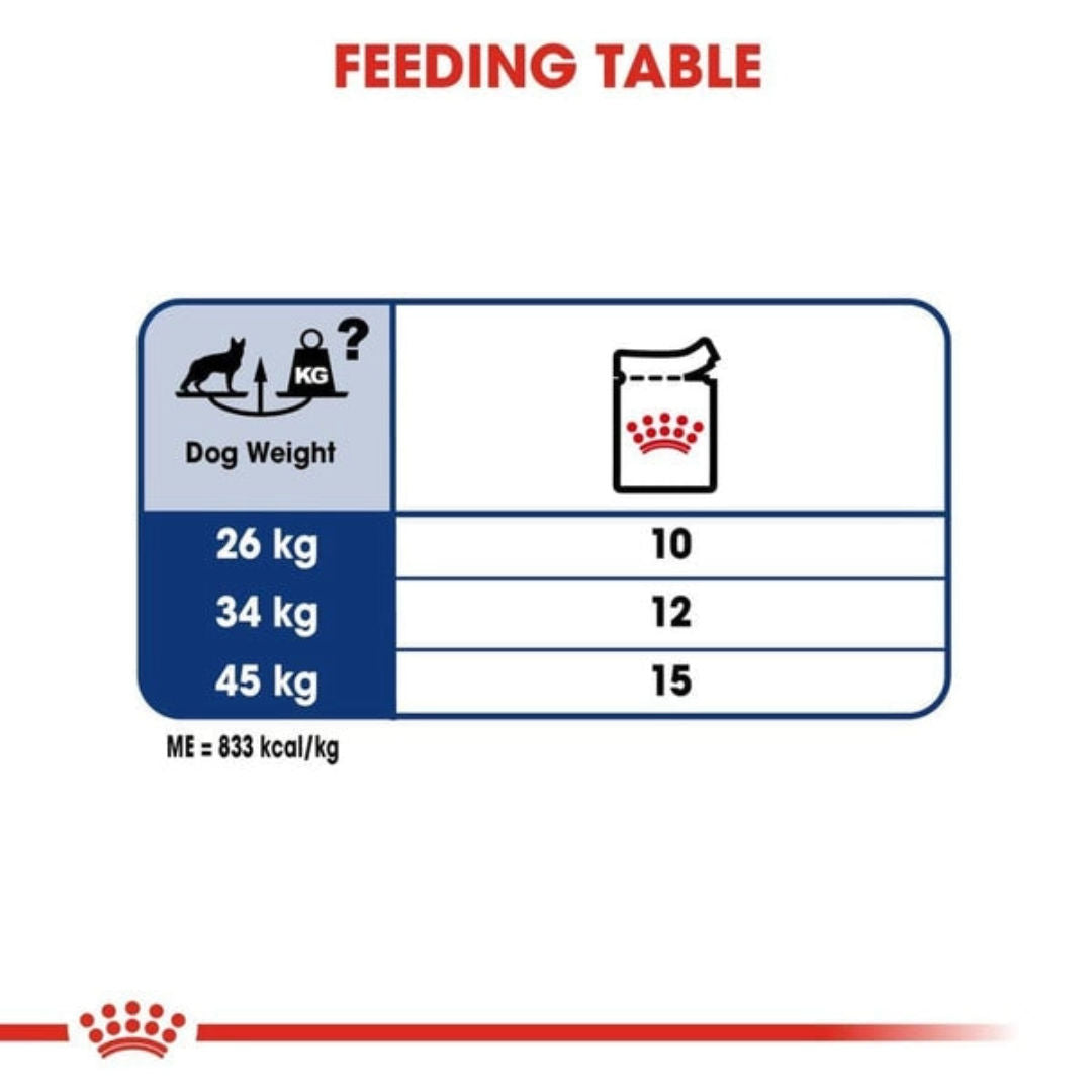 Royal Canin Maxi Adult Wet Dog Food in Gravy, 140gm, Pack of 10