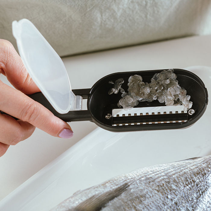 NAVA Acer Fish Scaler With Stainless Steel Blade & Storage Container,  20cm