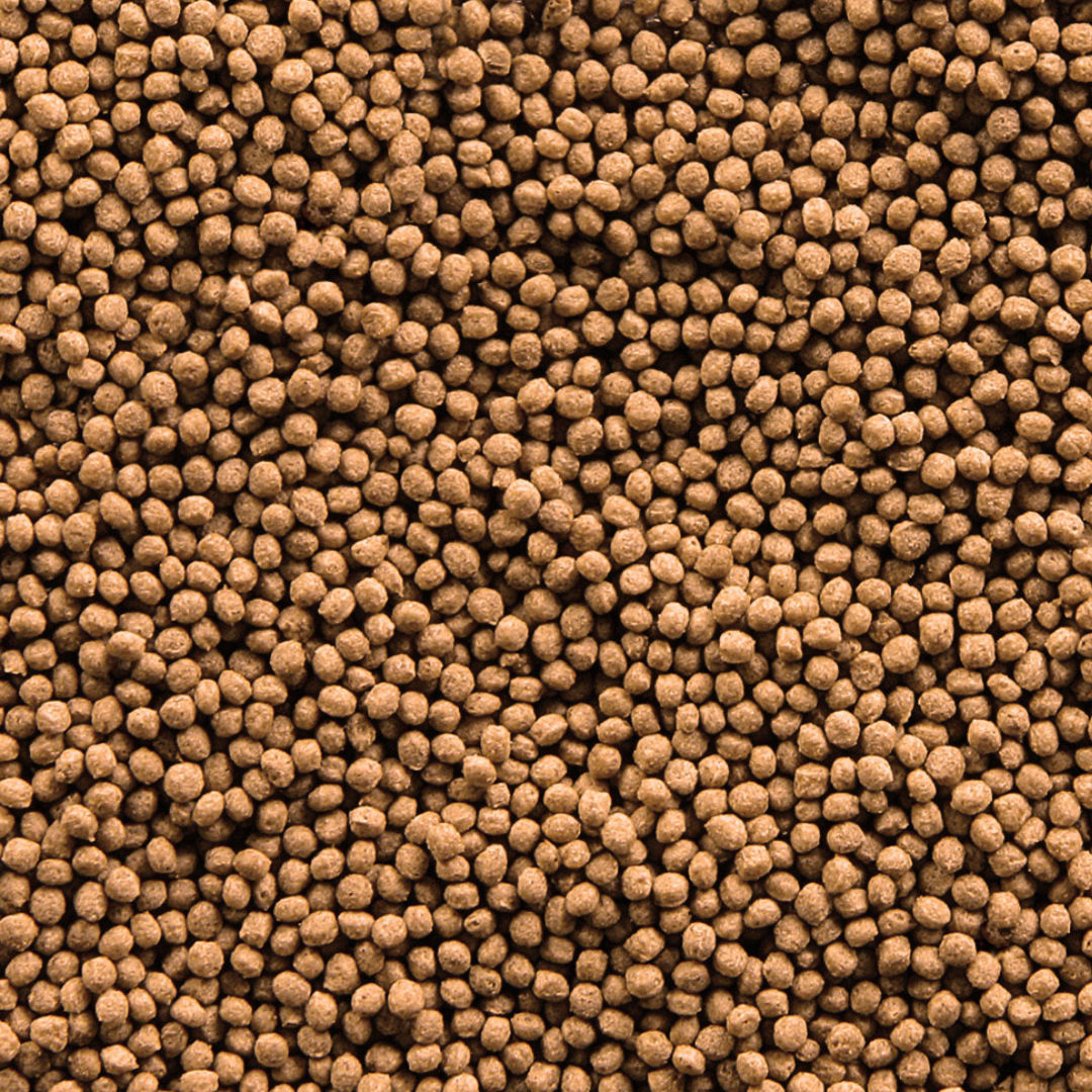 Sera Goldfish Granules Staple Food for Larger Goldfish, 75gm