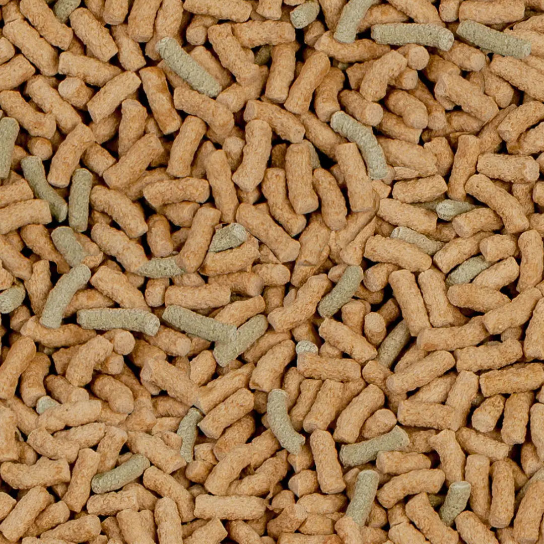 Sera Raffy Food for Carnivorous Reptiles