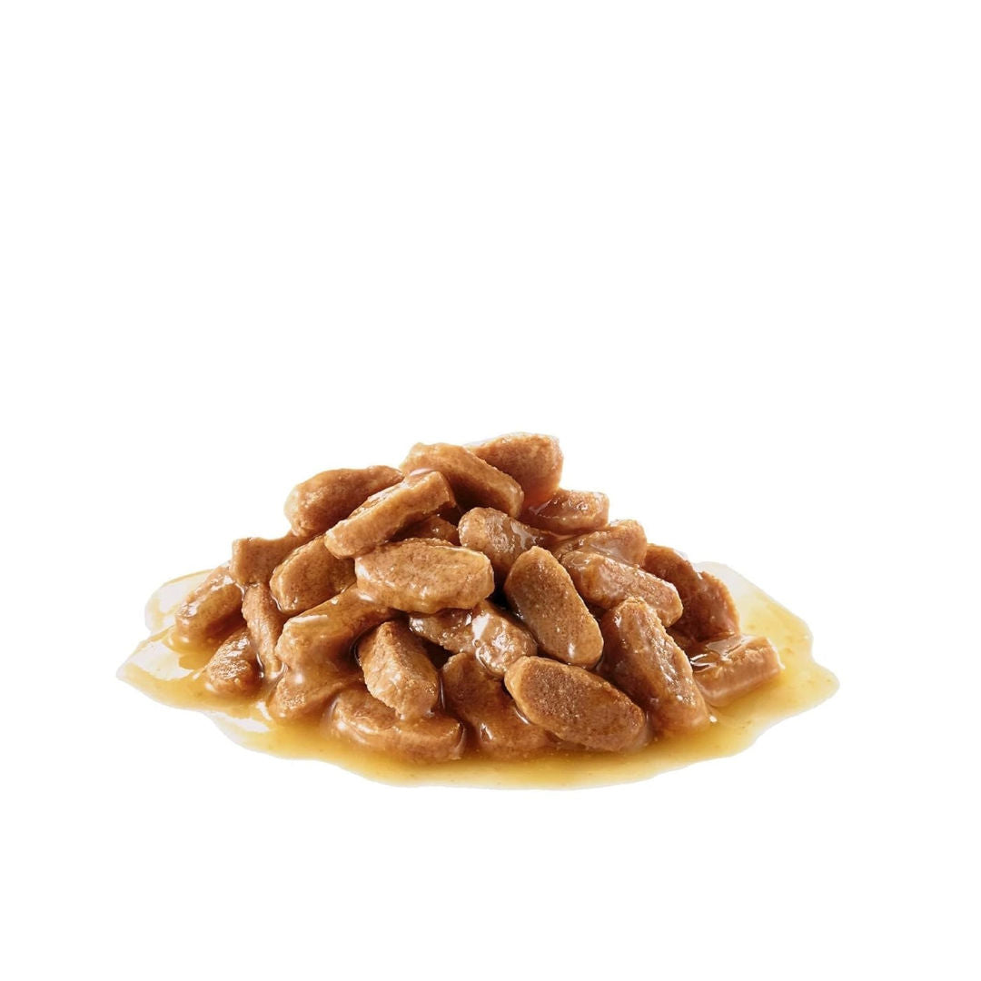 Royal Canin Mini Puppy Wet Dog Food In Gravy, 85gm, Pack of 12