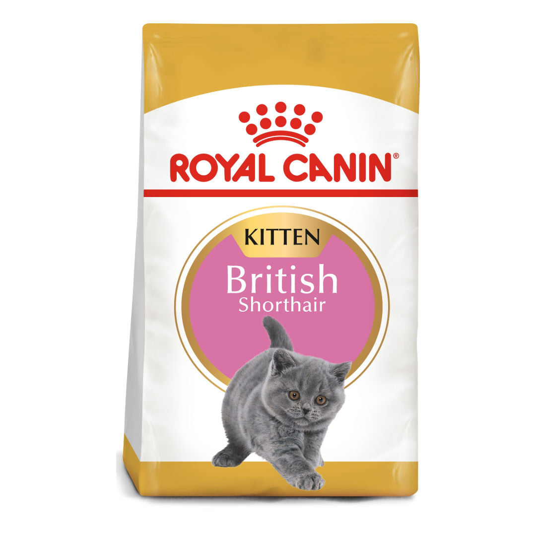 Royal Canin Feline Breed Nutrition British Shorthair Kitten, 2kg