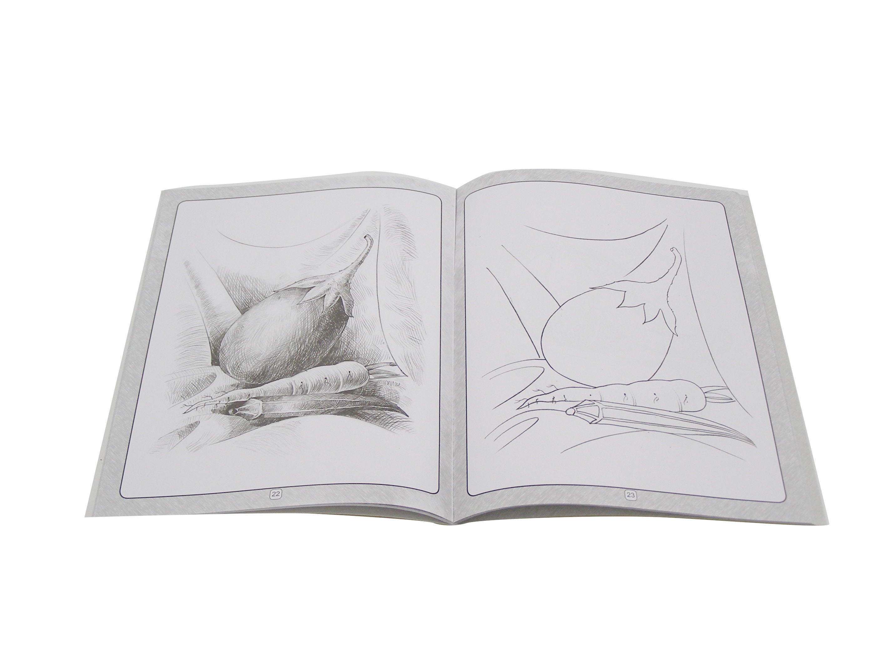 Alka How To Do Pencil Shading Books, Assorted
