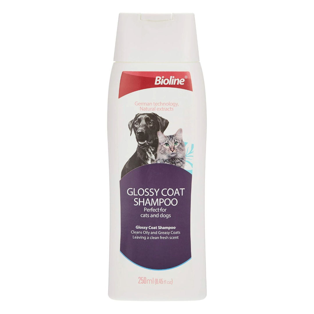 Bioline Glossy Coat Dry Shampoo For Dogs & Cats, 250ml