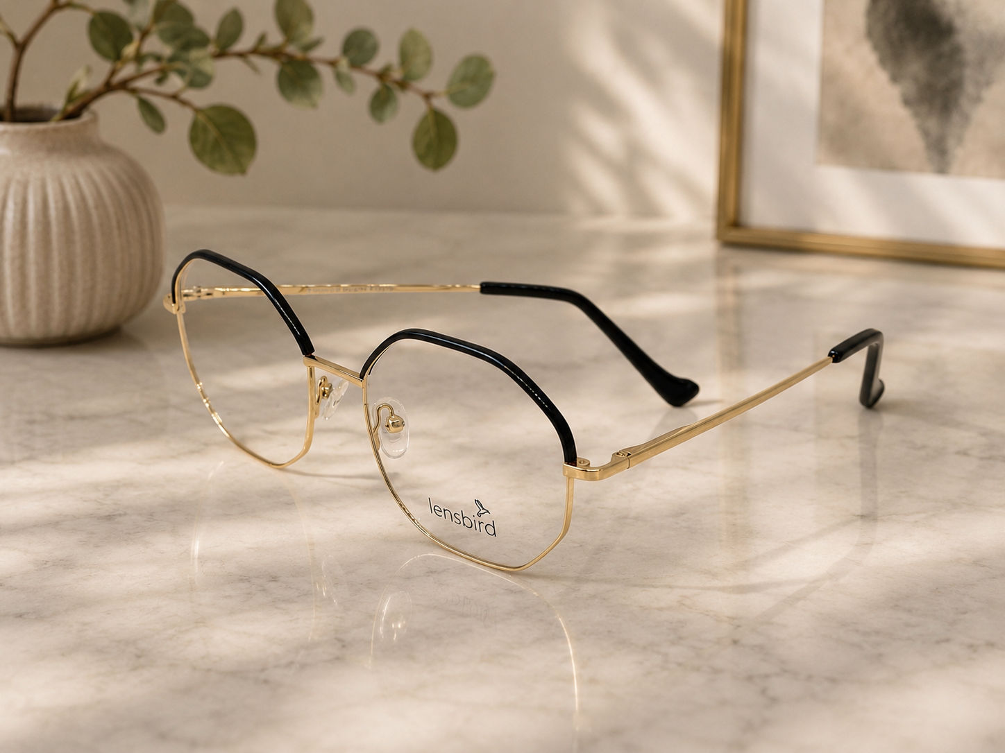 Lensbird Unisex Eyeglass, L11116C1