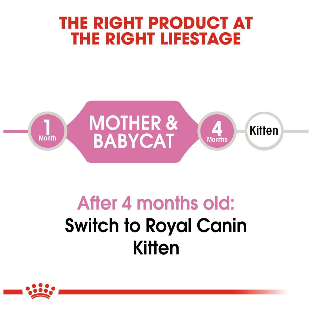 Royal Canin Feline Health Nutrition Dry Cat Food, For Mother Cats & Kittens