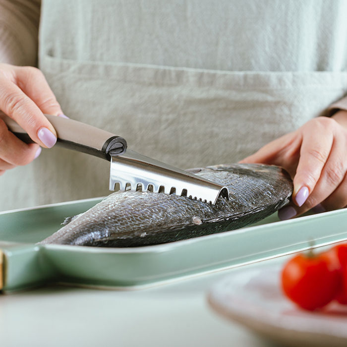 NAVA Misty Stainless Steel Fish Scaler, 22.5cm