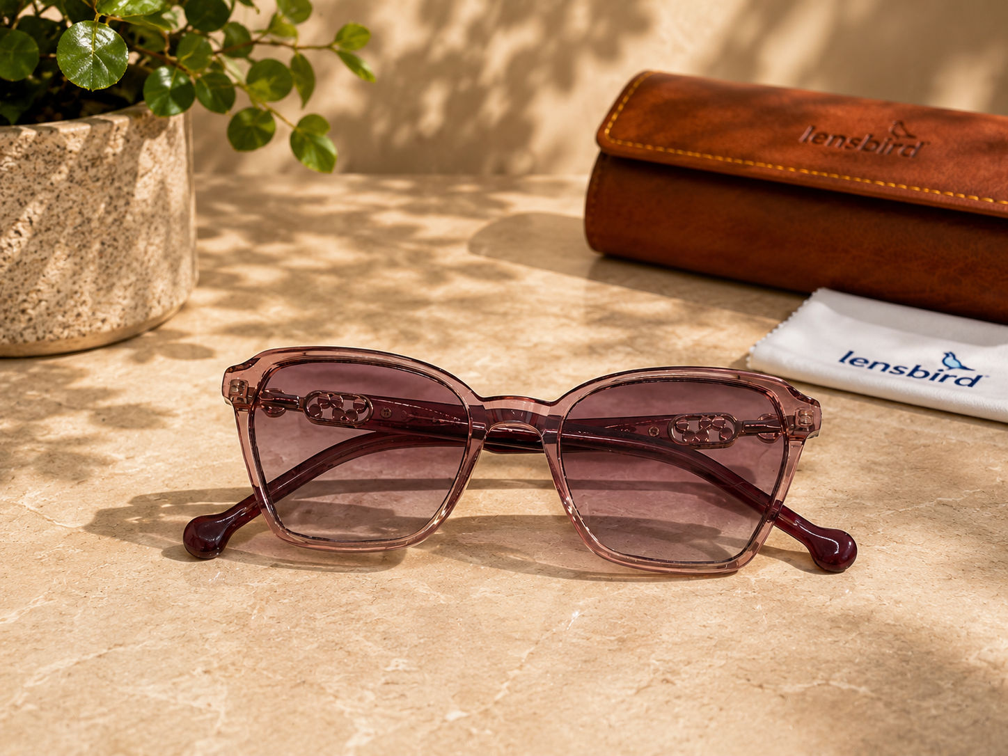 Lensbird Female Sunglass, 17338C5