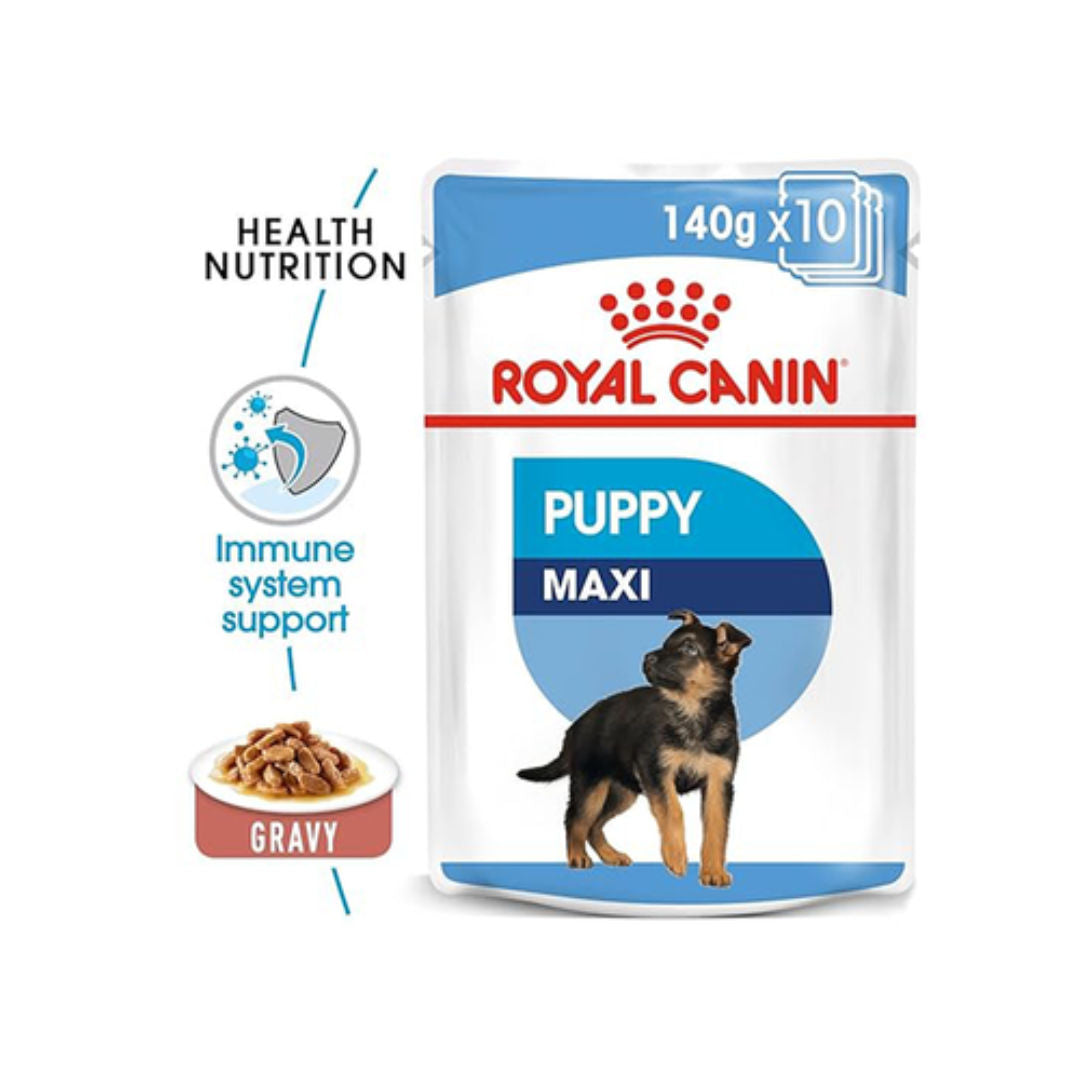 Royal Canin Maxi Puppy Wet Dog Food in Gravy, 140gm, Pack of 10