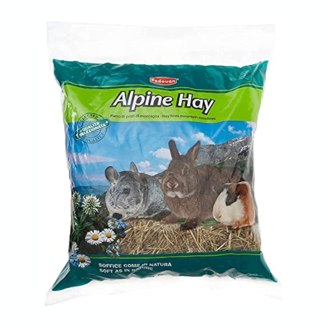 Padovan Alpine Hay, Complementary Feed for Dwarf Rabbits, Guinea Pigs, and Chinchillas, 700g