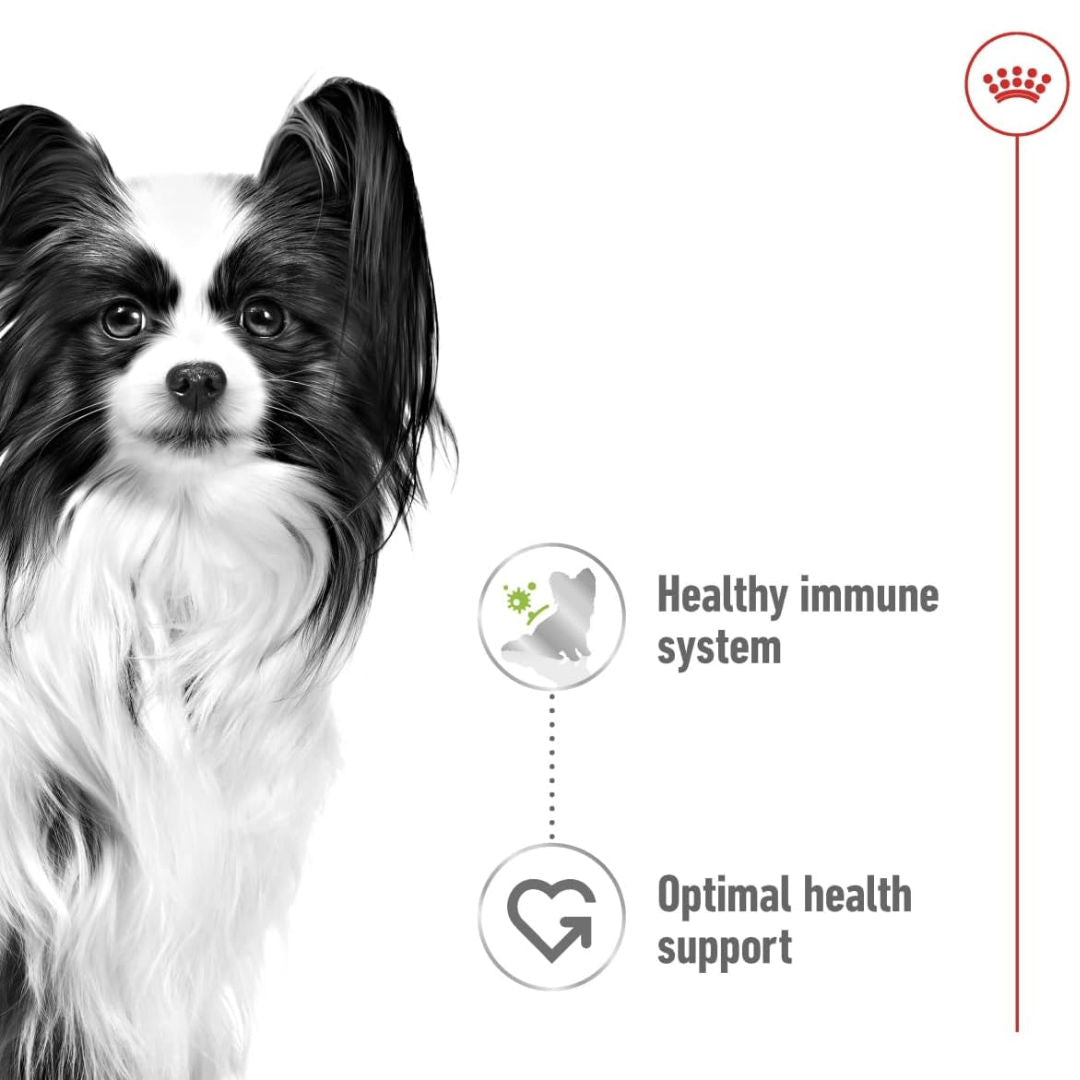 Royal Canin Size Health Nutrition XS Adult Wet Dog Food in Gravy, 85gm, Pack of 12