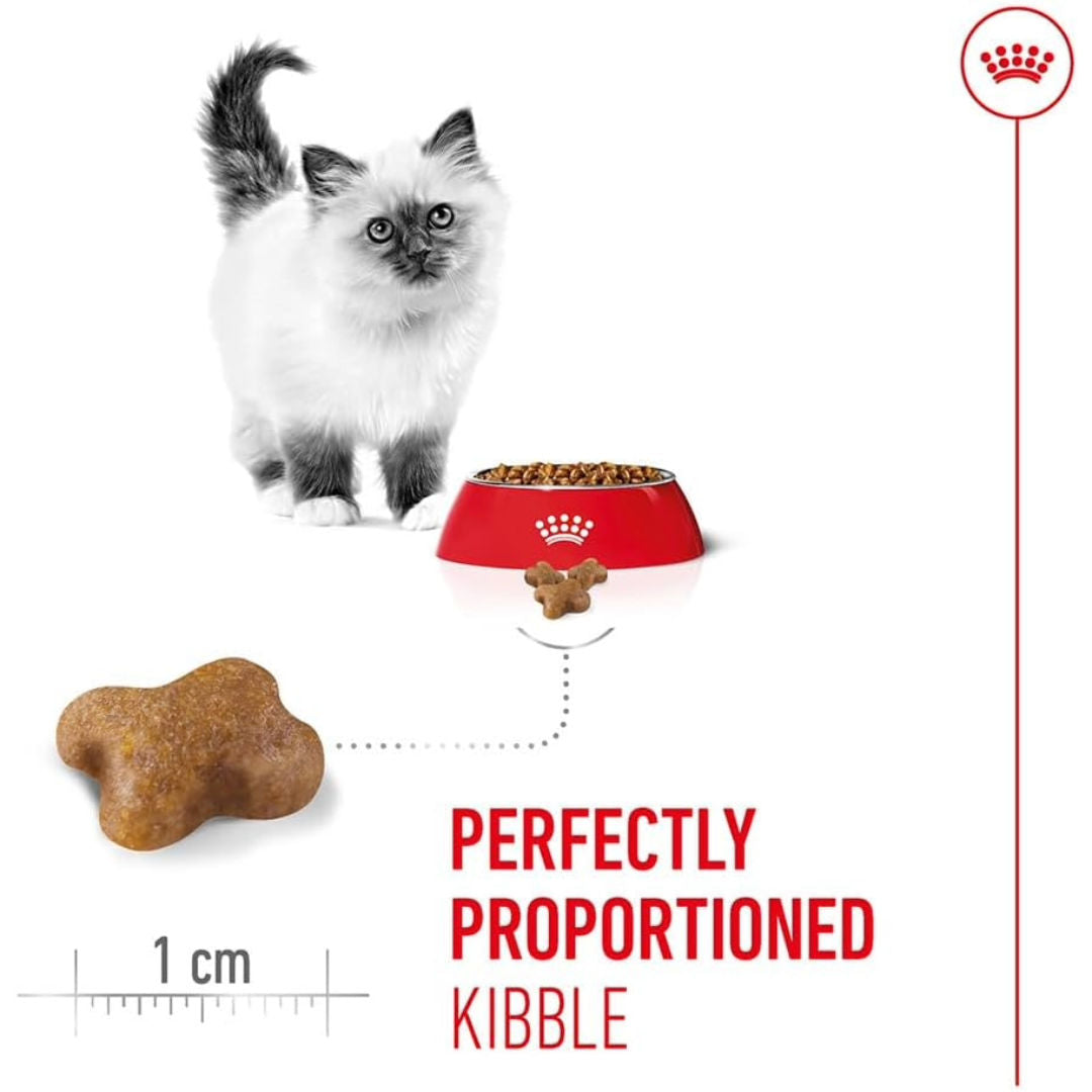 Royal Canin Kitten Dry Cat Food, Complete Nutrition For Kittens