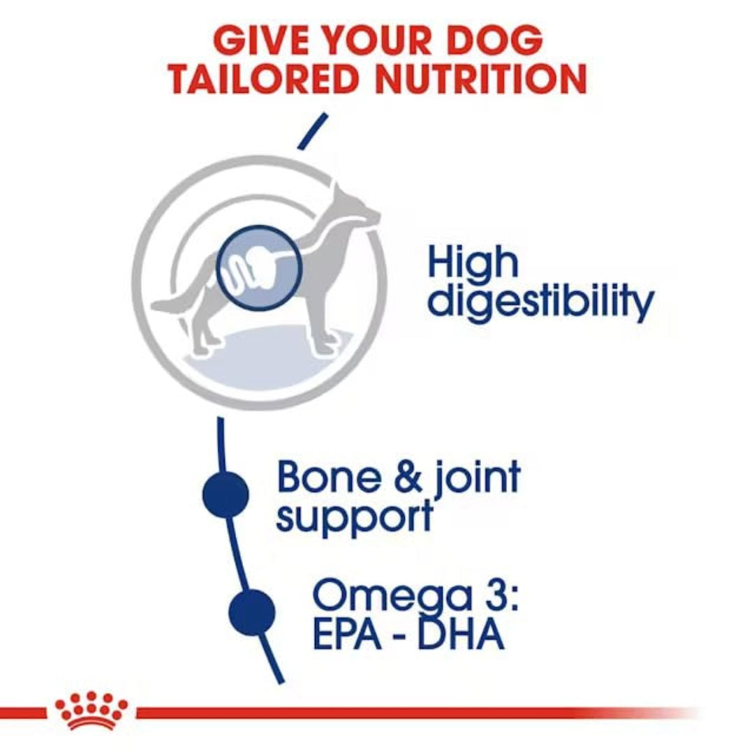 Royal Canin Size Health Nutrition Maxi Adult Dry Dog Food