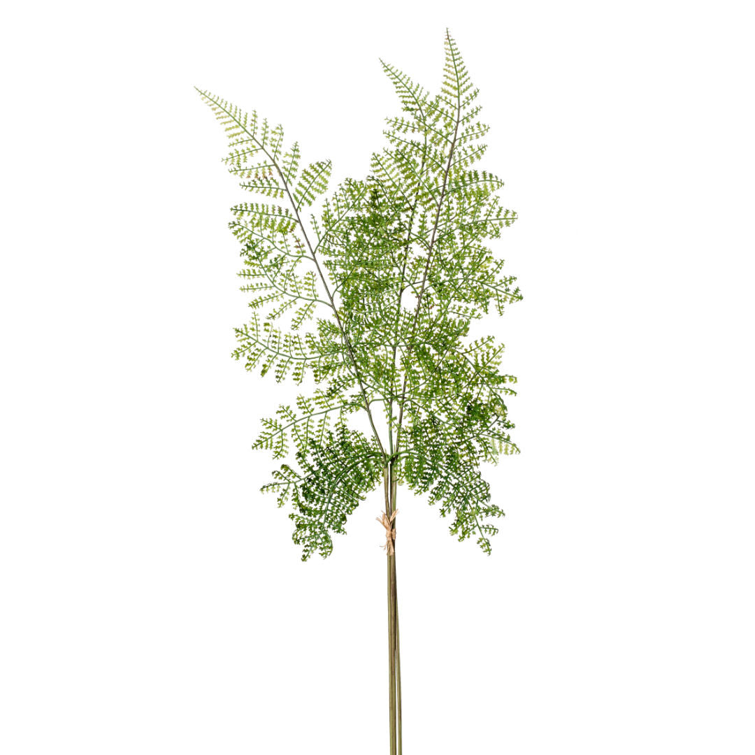 Fern Spray Green, 82cm
