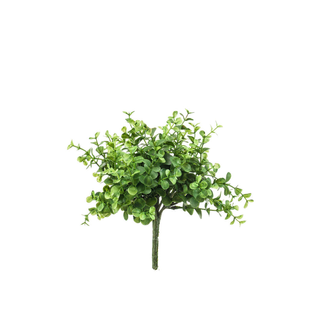 Eucalyptus Bush Light Green, 20cm