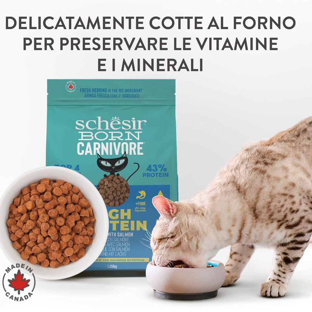 Schesir Born Carnivore Grain Free Oven Baked  Dry Cat Food, 1.25kg