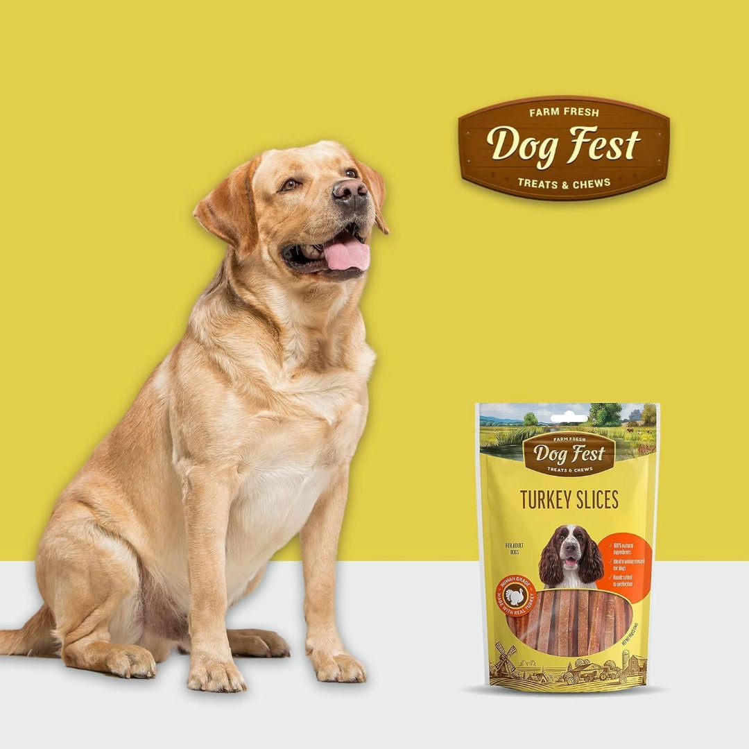 Dog Fest Turkey Slices For Adult Dogs, 90gm