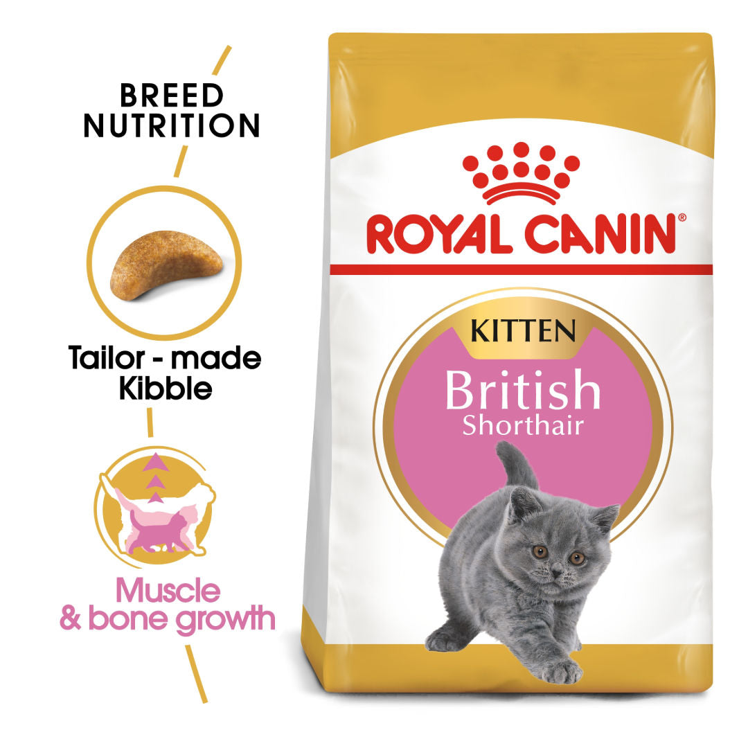 Royal Canin Feline Breed Nutrition British Shorthair Kitten, 2kg