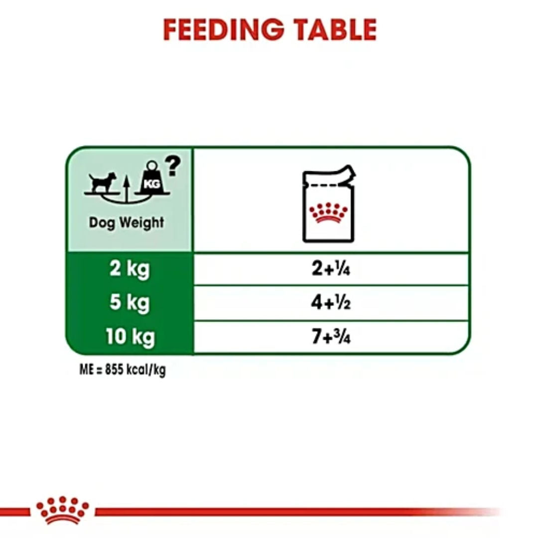 Royal Canin Mini Adult Morsels in Gravy Wet Dog Food, 85gm, Pack of 12