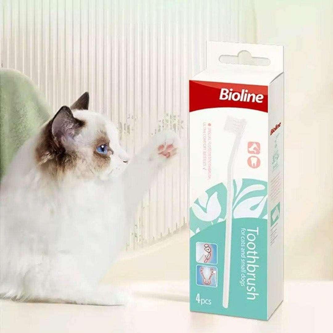 Bioline Toothbrush Set For Cats & Puppies, Pack of 4
