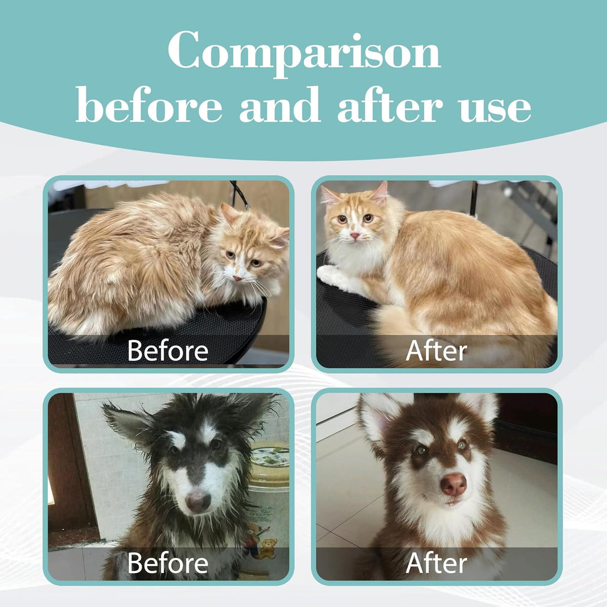 Bioline Foam Shampoo For Cats And Dogs, 220gm