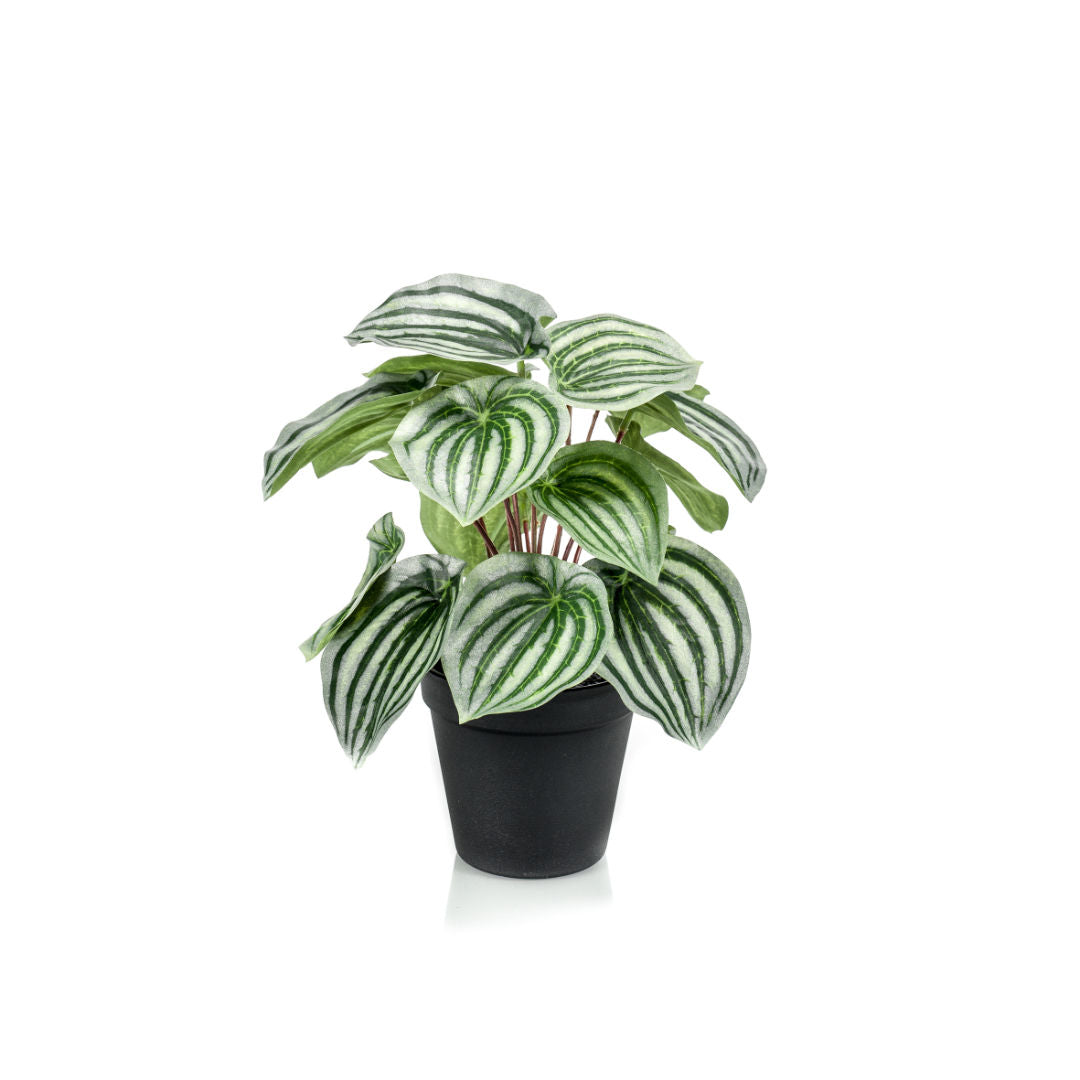 Peperomia Bush Green Artificial Plant