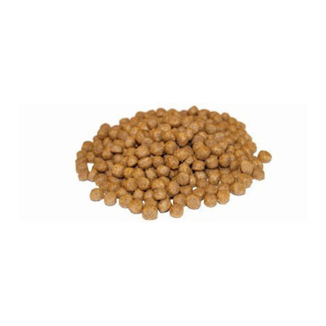 Pro nutrition Prestige Kitten With Fish cat food, 2Kg