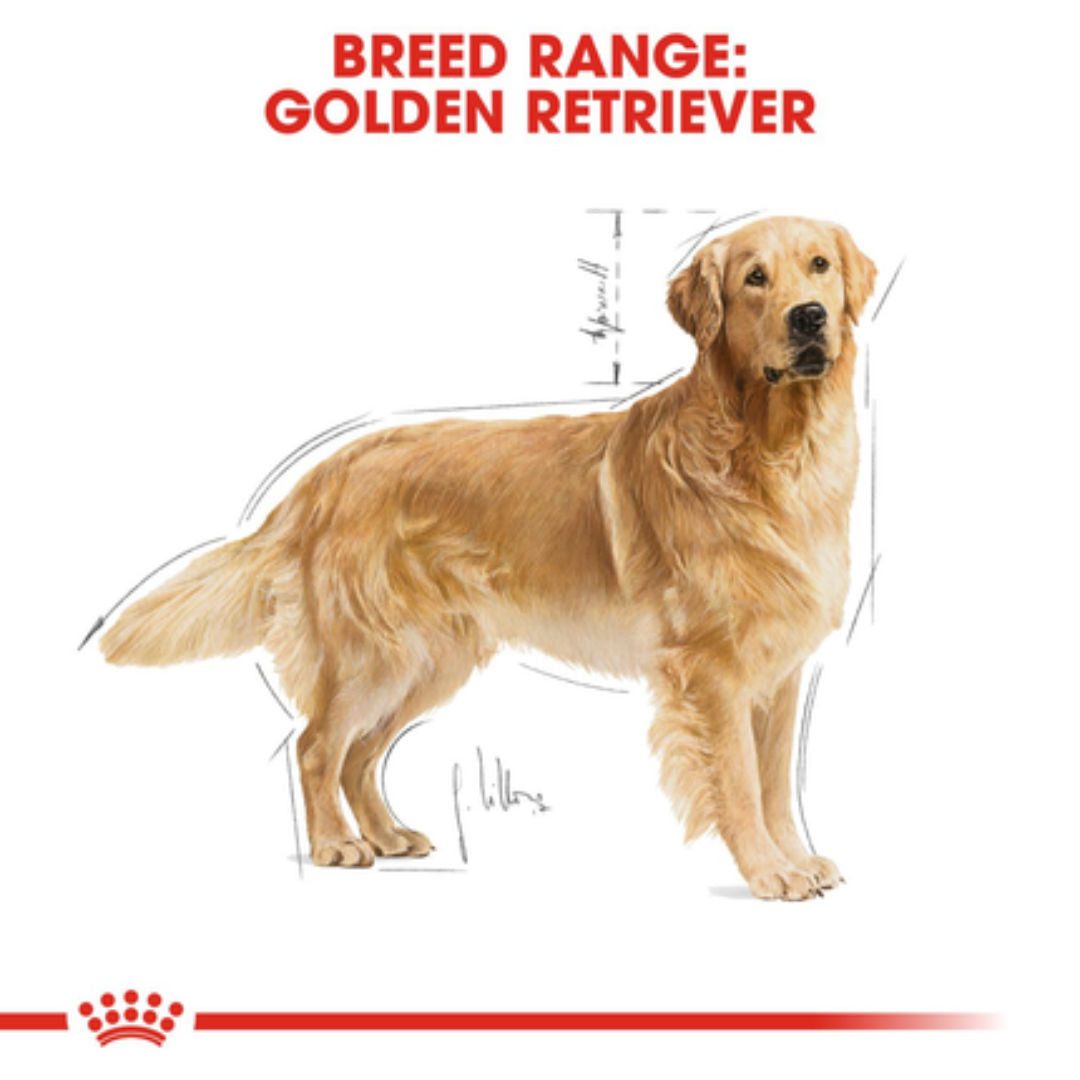Royal Canin Breed Health Nutrition Golden Retriever Adult, 12kg