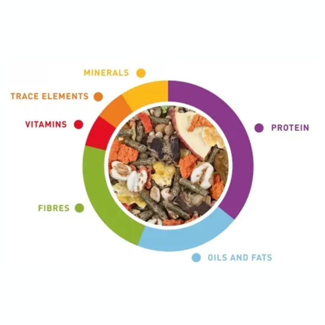 Padovan Cavie Grand Mix Complete Guinea Pig Food, 850g