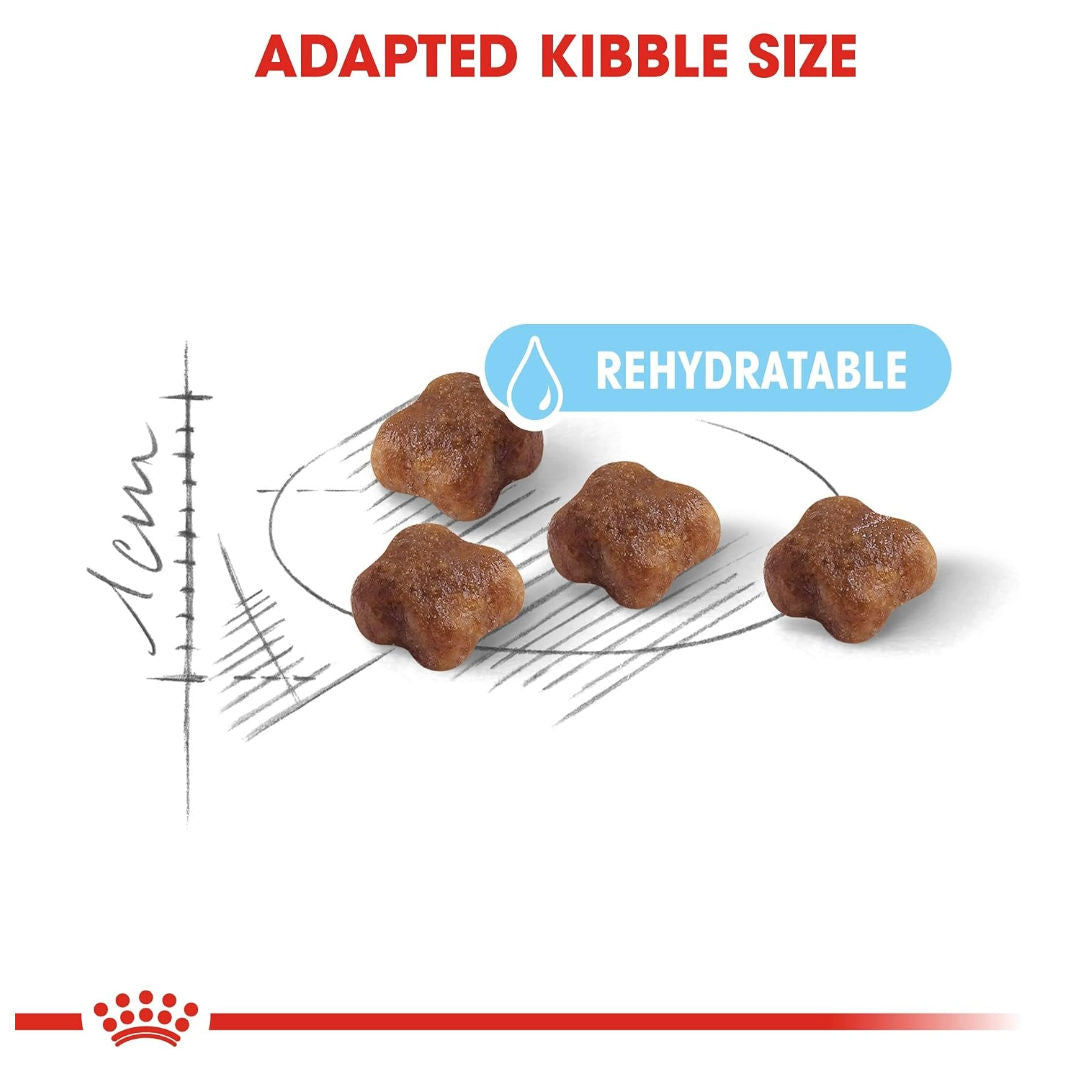 Royal Canin Feline Health Nutrition Dry Cat Food, For Mother Cats & Kittens